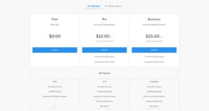 Weebly pricng for creating online store builder